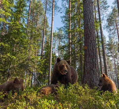 Voyages en famille Finlande