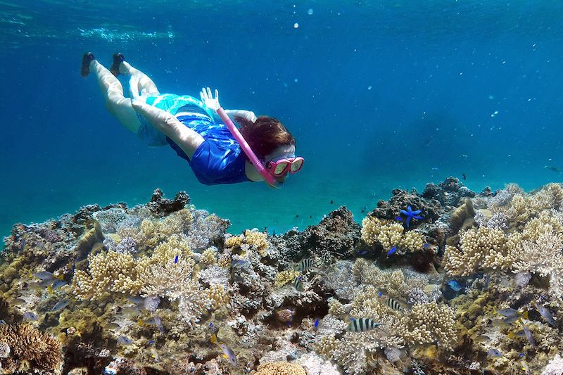 Snorkeling dans les Îles Fidji