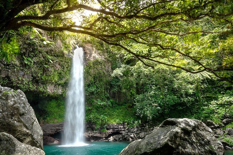 Chutes de Tavoro dans le parc national de Bouma - Île Taveuni - Îles Fidji