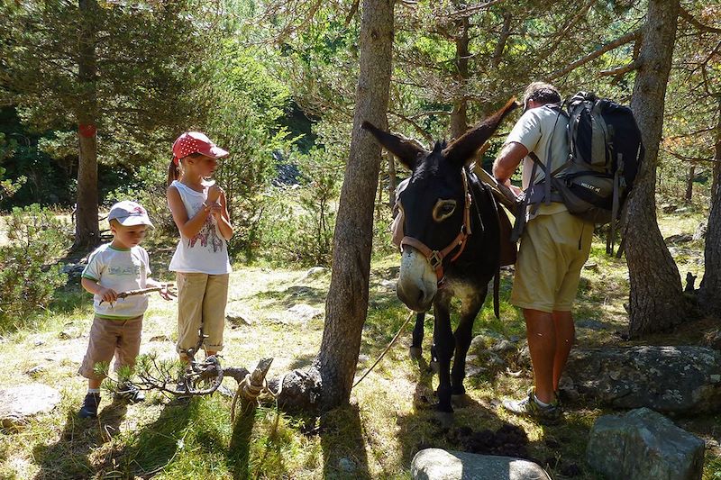Randonnée dans la réserve naturelle d’Orlu en compagnie d'un âne - Haute-Ariège - France