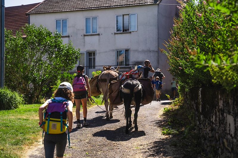 Rando avec un âne en Ardéche entre pâturages, forêts et volcans avec nuits en gîte, auberge et tipi.