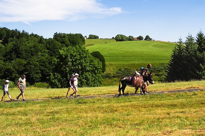 Rando avec un âne en Ardéche entre pâturages, forêts et volcans avec nuits en gîte, auberge et tipi.