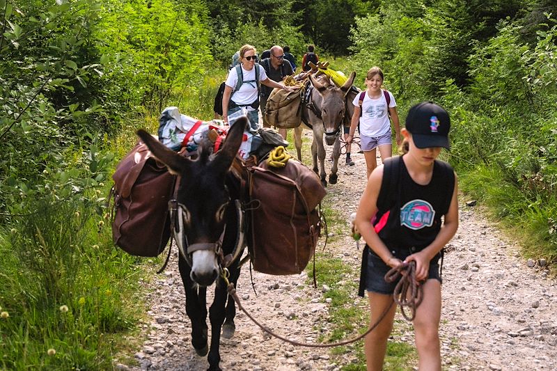 Rando avec un âne en Ardéche entre pâturages, forêts et volcans avec nuits en gîte, auberge et tipi.