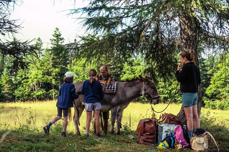 Rando avec un âne en Ardéche entre pâturages, forêts et volcans avec nuits en gîte, auberge et tipi.