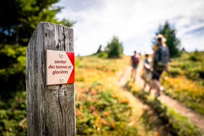 Randonnée et stage de yoga au grand air en Savoie