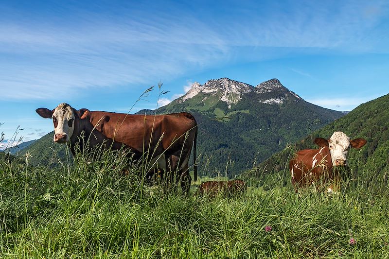 Randonnée et stage de yoga au grand air en Savoie