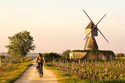 voyage La Loire à vélo, l'aventure électrique