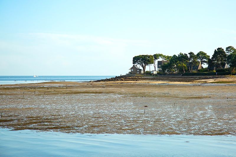 Découverte des mystères mégalithiques: Carnac et ses alignements Légendaires, randonnée sur le GR34