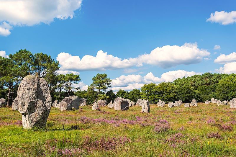 Découverte des mystères mégalithiques: Carnac et ses alignements Légendaires, randonnée sur le GR34