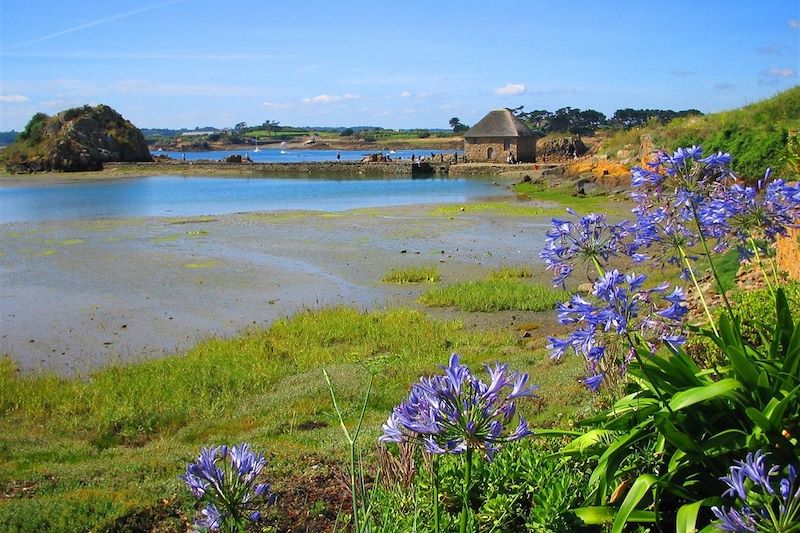 Moulin de Birlot Sauvage - Ile de Bréhat - France