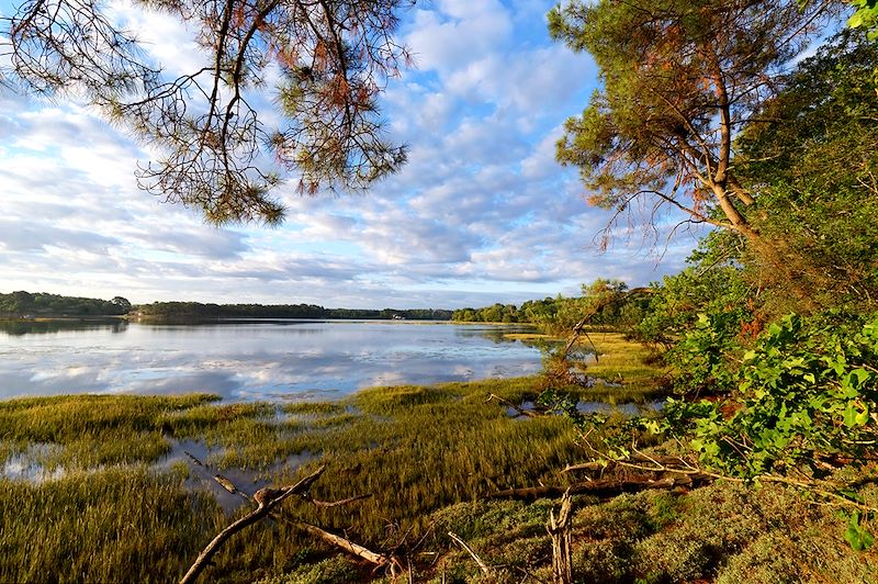 Explorez la Bretagne depuis Lorient : une odyssée à la découverte des joyaux cachés de la région