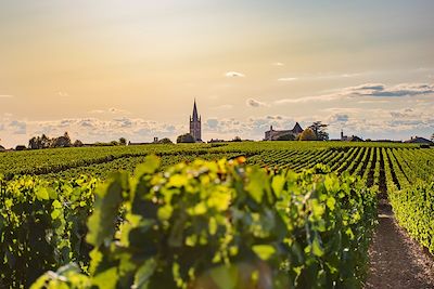 voyage Saveurs de Bordeaux, des vignes à l'océan 