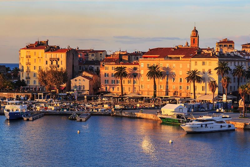 Un circuit en train à travers la Corse du sud au nord ponctué de belles rencontres et découvertes 