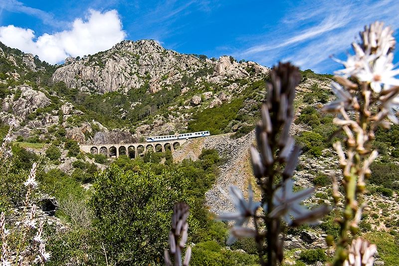 Un circuit en train à travers la Corse du sud au nord ponctué de belles rencontres et découvertes 