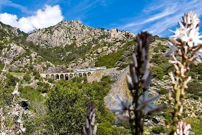 voyage La Corse au rythme du train 