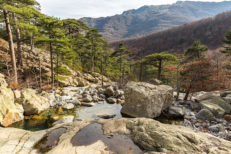 Un circuit en train à travers la Corse du sud au nord ponctué de belles rencontres et découvertes 