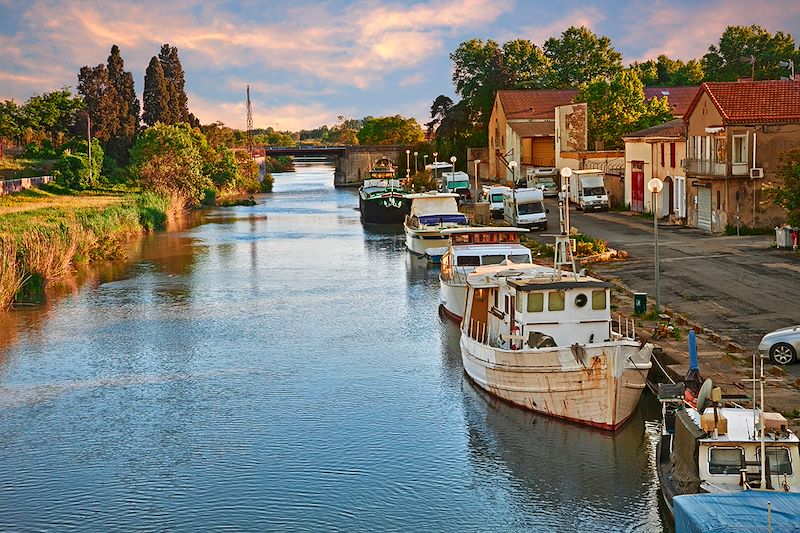 Partez sur une boucle à vélo au départ d'Avignon pour découvrir la Provence et la Camargue