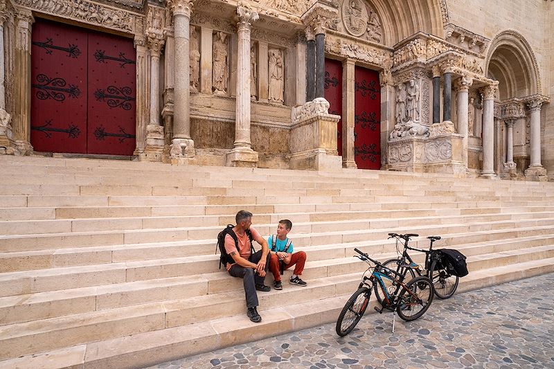 Partez sur une boucle à vélo au départ d'Avignon pour découvrir la Provence et la Camargue