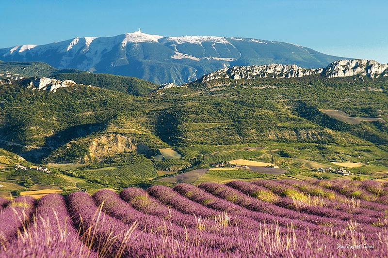 Partez sur une boucle à vélo au départ d'Avignon pour découvrir la Provence et la Camargue