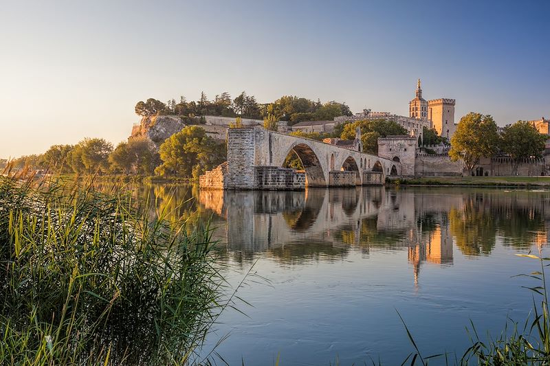 Partez sur une boucle à vélo au départ d'Avignon pour découvrir la Provence et la Camargue