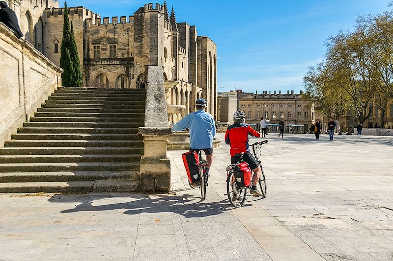 Partez sur une boucle à vélo au départ d'Avignon pour découvrir la Provence et la Camargue