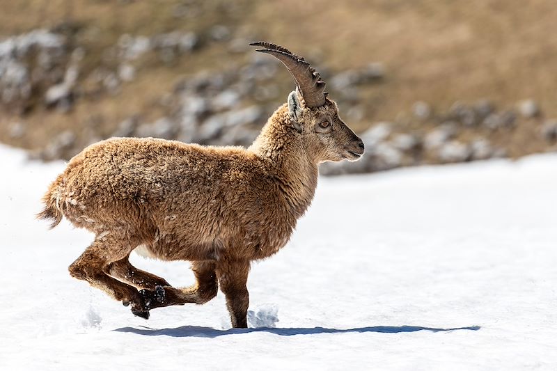 Séjour hiver accessible dans le Vercors sauvage avec des activités dédiées aux personnes en situation de handicap