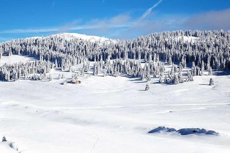 Séjour hivernal à la découverte du massif du Jura avec des activités dédiées aux personnes en situation de handicap