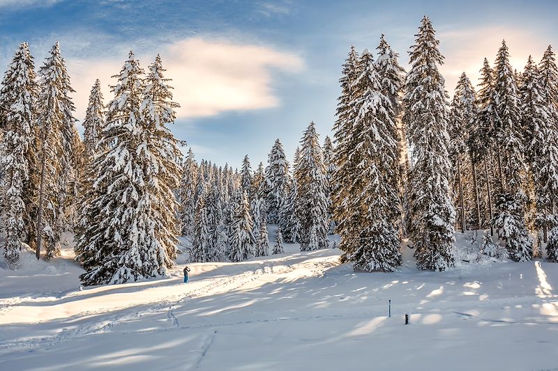 Séjour hivernal à la découverte du massif du Jura avec des activités dédiées aux personnes en situation de handicap