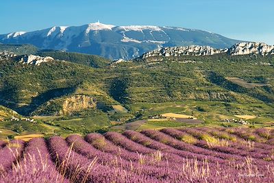 voyage Mont Ventoux et Baronnies Provençales