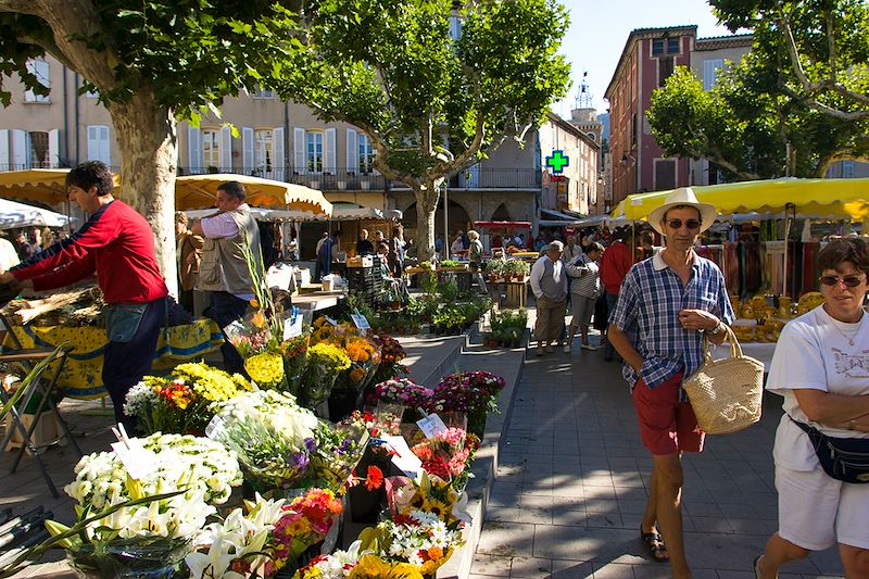 Randonnée entre mer et montagne : à la découverte du Mont Ventoux et des Baronnies Provençales.