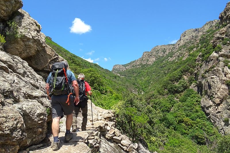 Entre nature, soleil et traditions, offrez vous le meilleur de ce massif à pied !