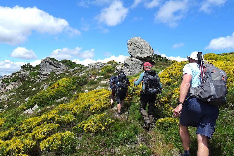 Entre nature, soleil et traditions, offrez vous le meilleur de ce massif à pied !