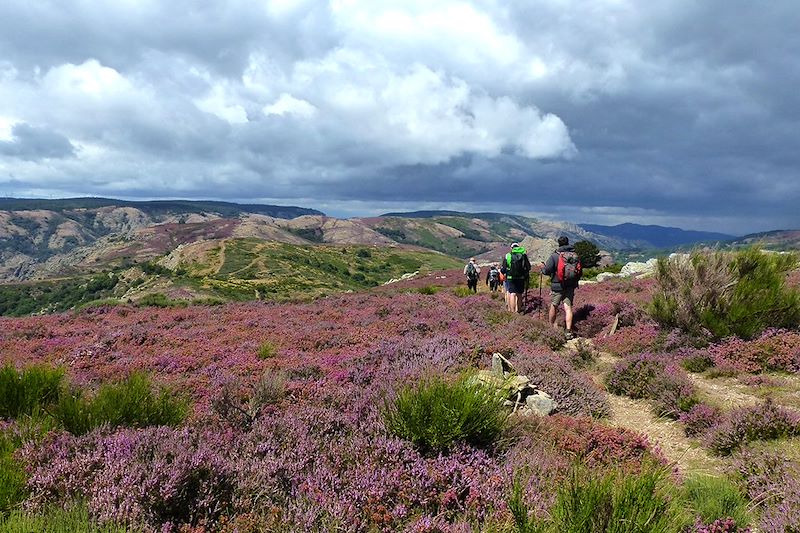 Entre nature, soleil et traditions, offrez vous le meilleur de ce massif à pied !