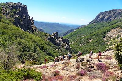 voyage Le Caroux, perle sauvage des Cévennes