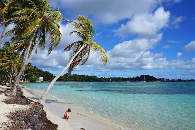 Randonnée et baignade dans l'archipel Papillon des Caraïbes version longue: Les Saintes, Marie-Galante, La Désirade