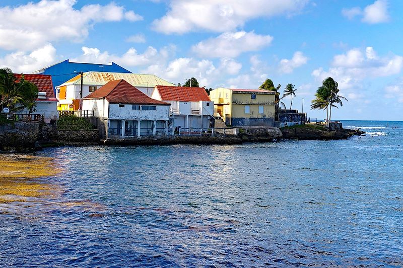 Randonnée et baignade dans l'archipel Papillon des Caraïbes version longue: Les Saintes, Marie-Galante, La Désirade