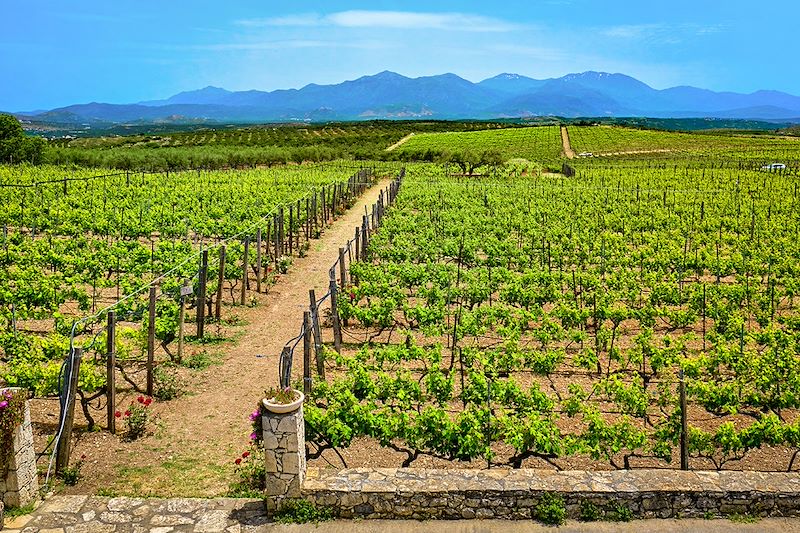 Citcuit en Crète alliant randonnées immersives et découvertes gastronomiques au cœur de ses villages et paysages authentiques.