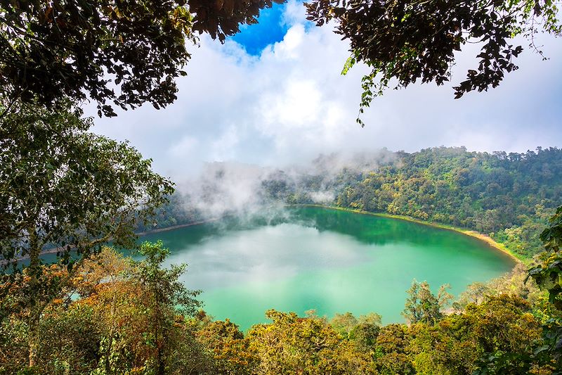 Traversée du monde maya, d’un trek volcanique au Guatemala aux plages caribéennes du Mexique, via la jungle et ses joyaux perdus !