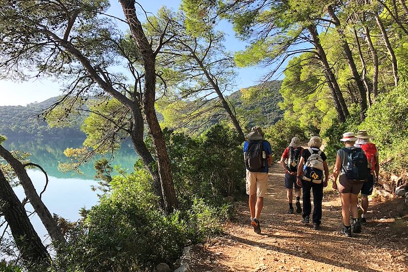 Voyage en Dalmatie du sud et randonnées à travers les îles de Brac, Hvar, Korcula et Mljet.