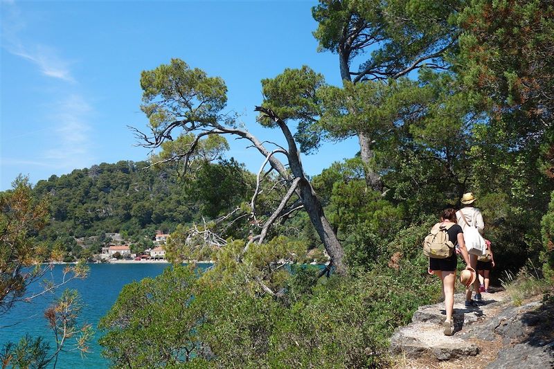 Activités en famille à Korcula et ses environs : randonnées côtières, sortie en kayak, excursion en bateau, ... 