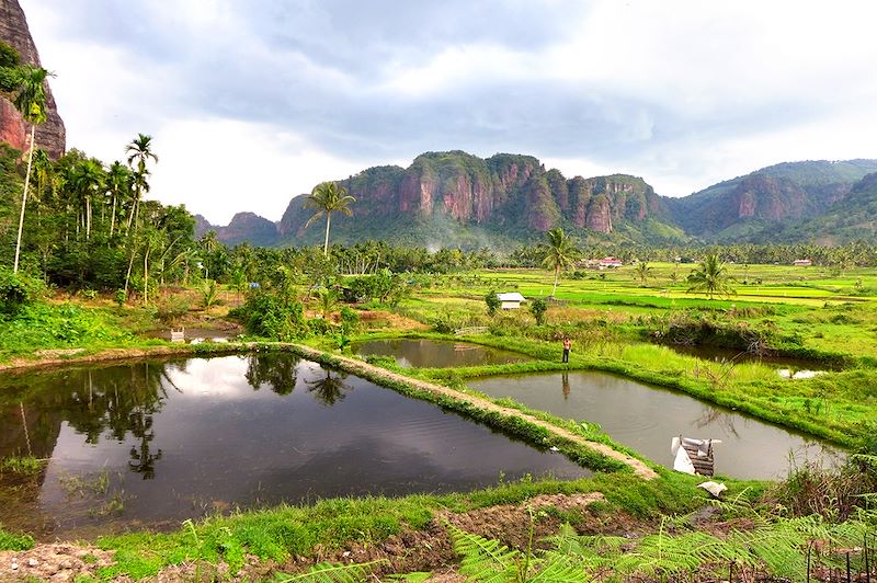 Rizières de la vallée d’Harau et lac Maninjau, Orang outans, Mont Sibayak et farniente sur la petite île Paradisiaque de Pulau Weh