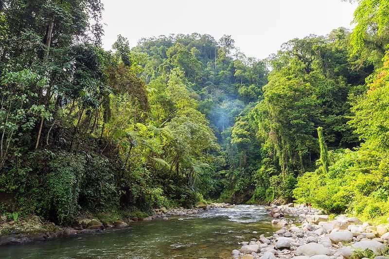 Rizières de la vallée d’Harau et lac Maninjau, Orang outans, Mont Sibayak et farniente sur la petite île Paradisiaque de Pulau Weh