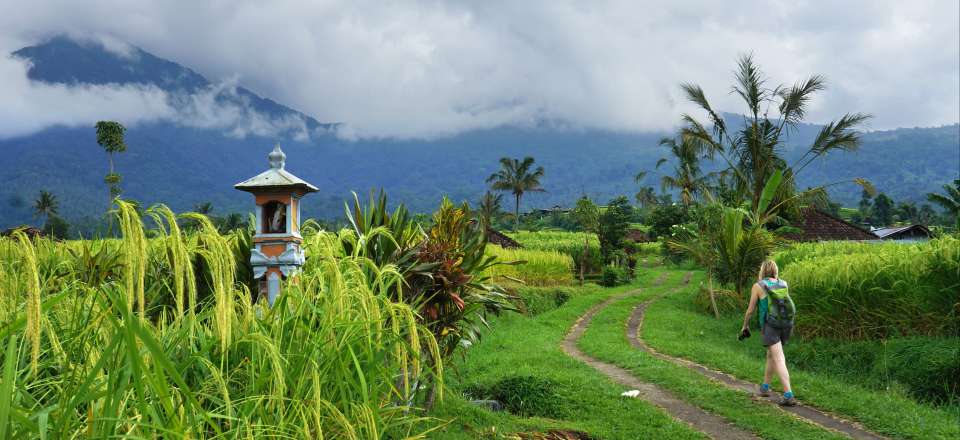  Randonn e  Trekking Bali  Bali  hors des sentiers battus 