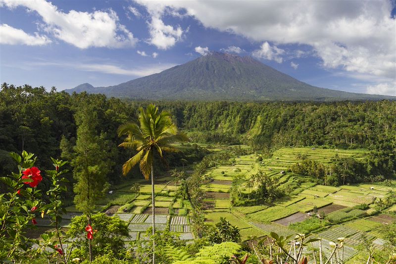 Bali en liberté avec chauffeur – Temples & rizières d’Ubud, cascades et plantations à Munduk, Mont Batur et détente à la plage