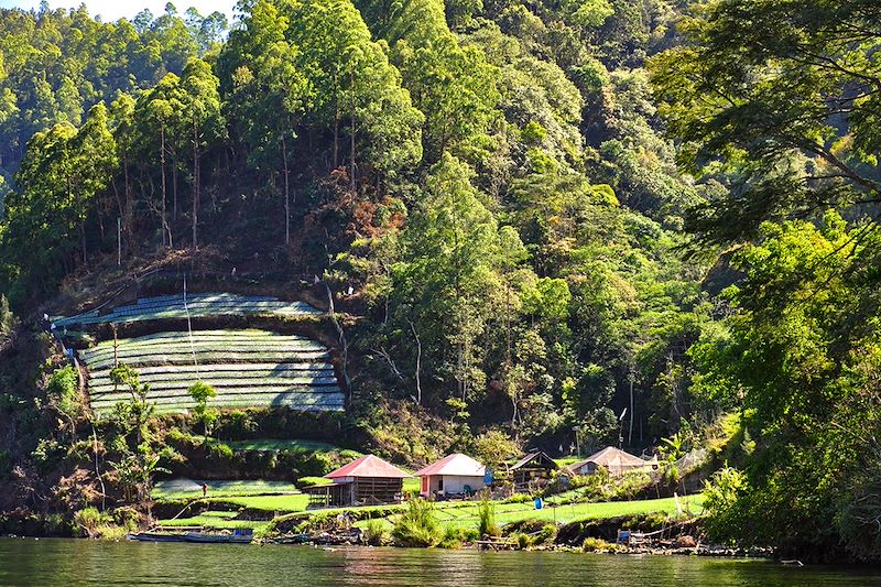 Bali en liberté avec chauffeur – Temples & rizières d’Ubud, cascades et plantations à Munduk, Mont Batur et détente à la plage