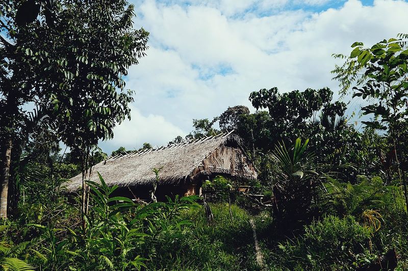 Habitation traditionnelle sur l'île de Siberut - Îles Mentawai - Sumatra - Indonésie