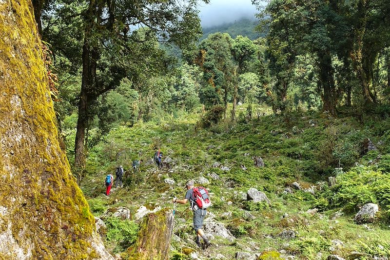 Randonnée vers Nayapatal - Sikkim - Inde