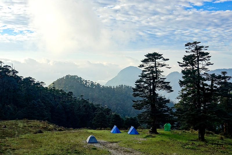 Trek au Sikkim au pied du Kangchenjunga, la troisième plus haute montagne du monde et découverte de Darjeeling