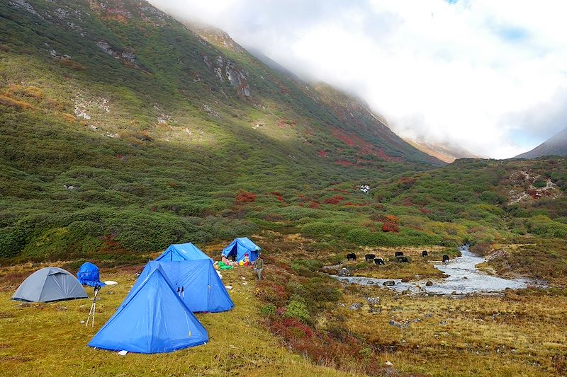 Trek au Sikkim au pied du Kangchenjunga, la troisième plus haute montagne du monde et découverte de Darjeeling