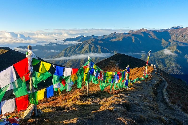 Trek au Sikkim au pied du Kangchenjunga, la troisième plus haute montagne du monde et découverte de Darjeeling